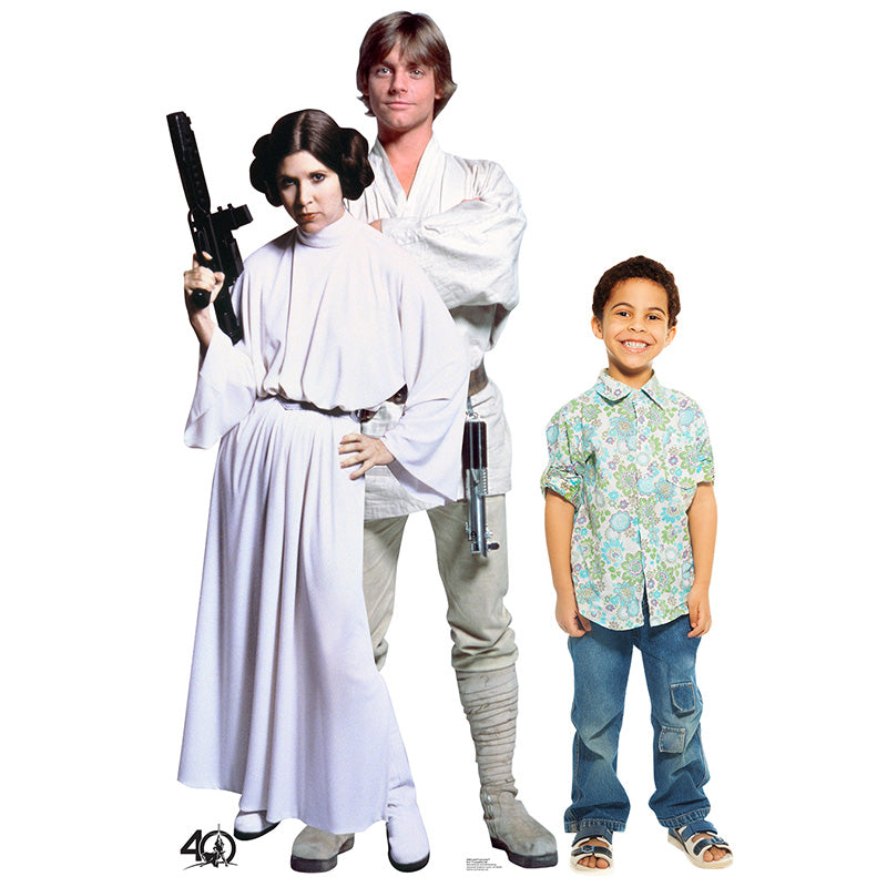 LUKE SKYWALKER & PRINCESS LEIA "Star Wars" Lifesize Cardboard Cutout Standup Standee - Example