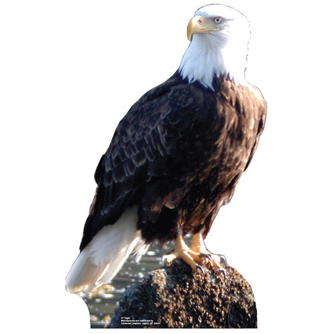 BALD EAGLE Lifesize Cardboard Cutout Standup Standee - Front