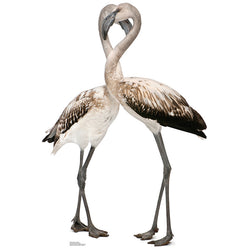 FLAMINGOS Lifesize Cardboard Cutout Standup Standee - Front