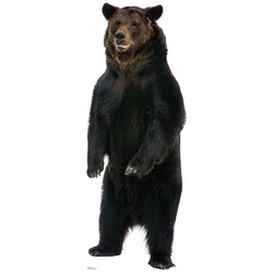 BROWN BEAR Lifesize Cardboard Cutout Standup Standee - Front