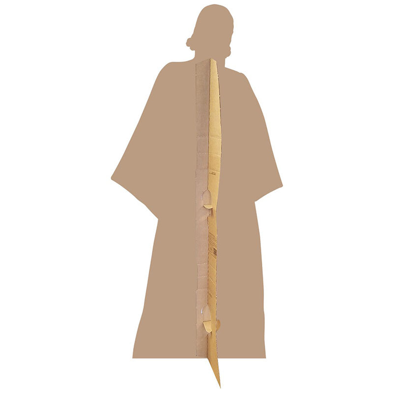 GENERAL LEIA ORGANA "Star Wars VIII: The Last Jedi" Lifesize Cardboard Cutout Standup Standee - Back