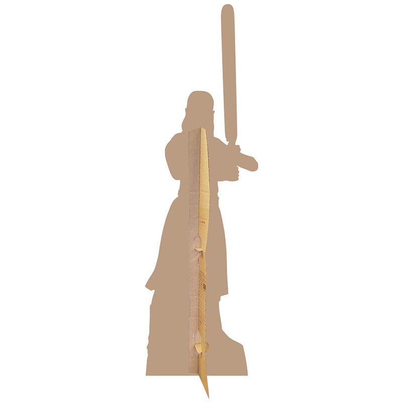 REY "Star Wars VIII: The Last Jedi" Lifesize Cardboard Cutout Standup Standee - Back