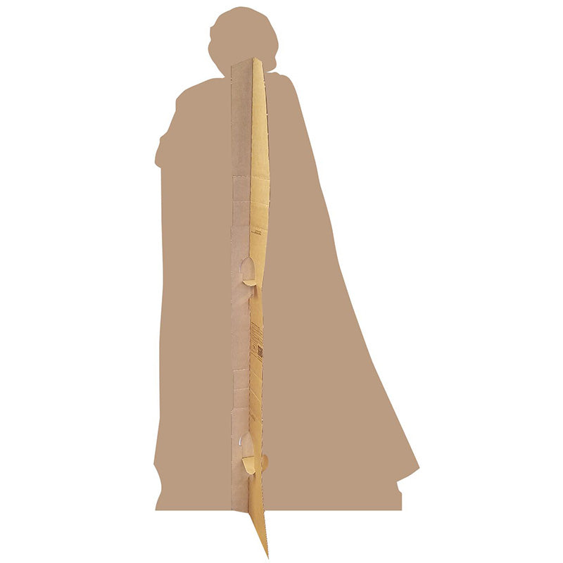 LUKE SKYWALKER "Star Wars VIII: The Last Jedi" Lifesize Cardboard Cutout Standup Standee - Back