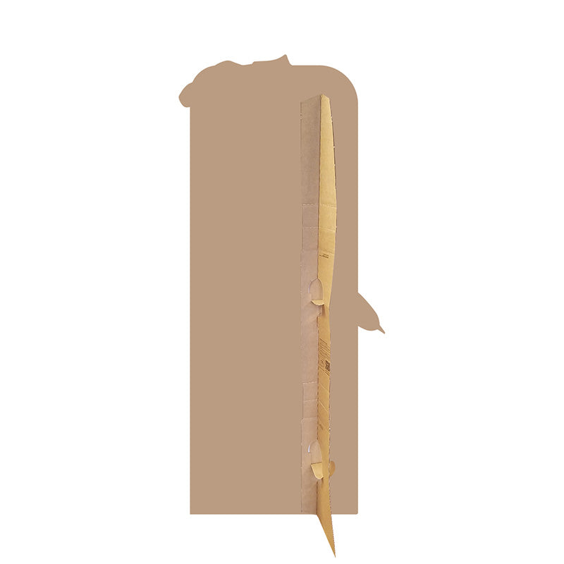 FIGURE SKATER STAND-IN Lifesize Cardboard Cutout Standup Standee - Back