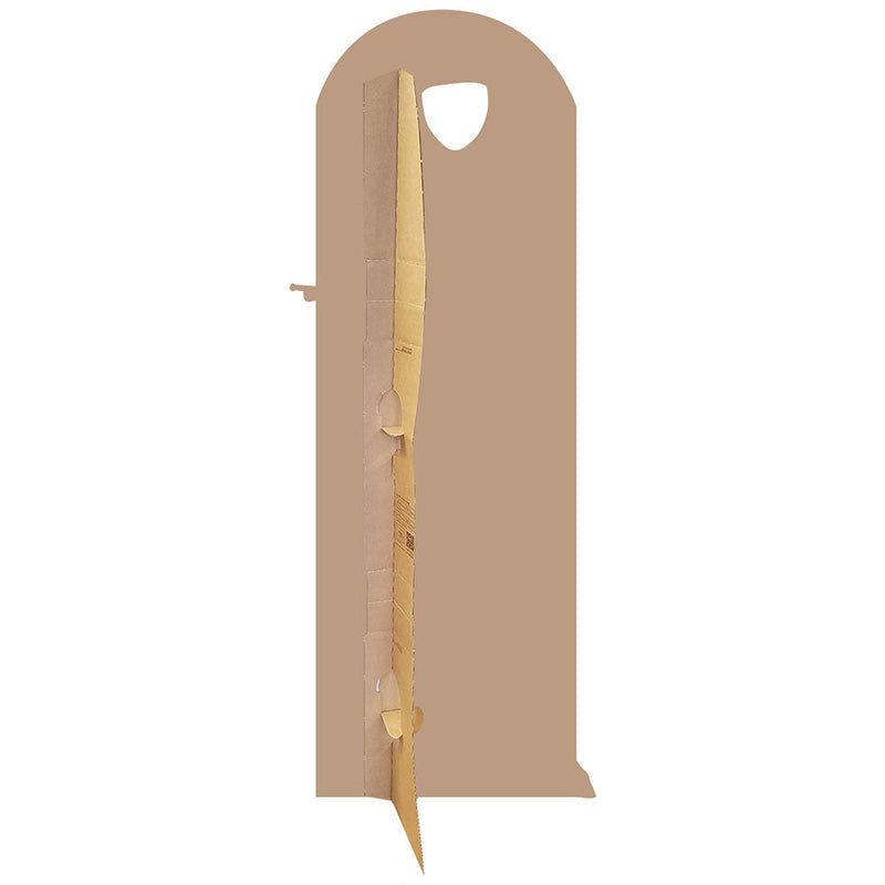 PIRATE WENCH STAND-IN Lifesize Cardboard Cutout Standup Standee - Back