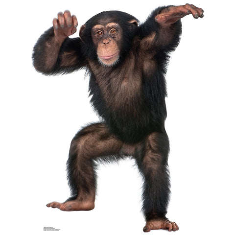 CHIMPANZEE Lifesize Cardboard Cutout Standup Standee - Front