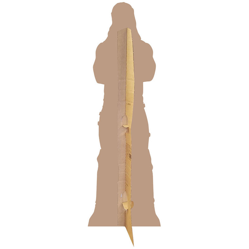 SETH ROLLINS WWE Lifesize Cardboard Cutout Standup Standee - Back