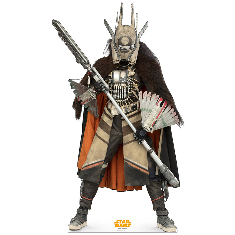 ENFYS NEST