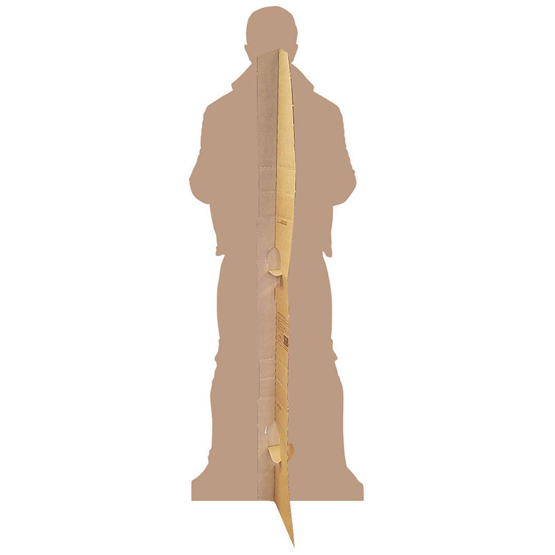 FINN BALOR WWE Lifesize Cardboard Cutout Standup Standee - Back