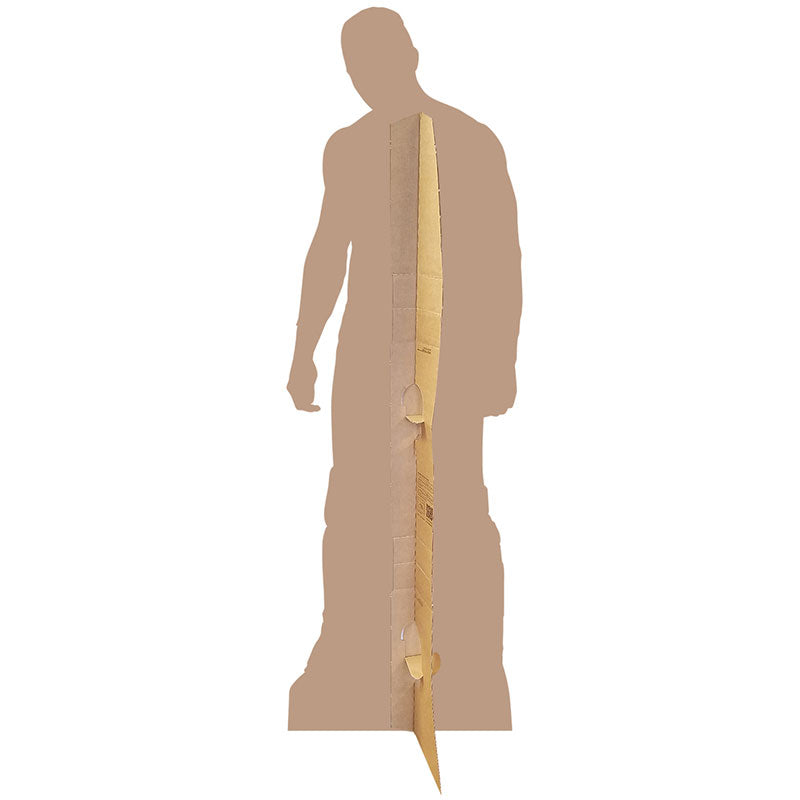 THE MIZ WWE Lifesize Cardboard Cutout Standup Standee - Back