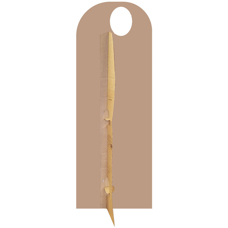 SETH ROLLINS STAND-IN WWE Lifesize Cardboard Cutout Standup Standee - Back