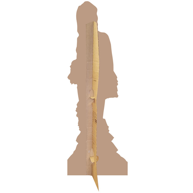 NAGINI "Fantastic Beasts: The Crimes of Gindelwald" Lifesize Cardboard Cutout Standup Standee - Back