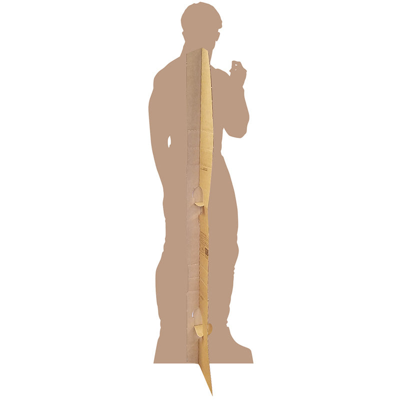 VELVETEEN DREAM WWE Lifesize Cardboard Cutout Standup Standee - Back