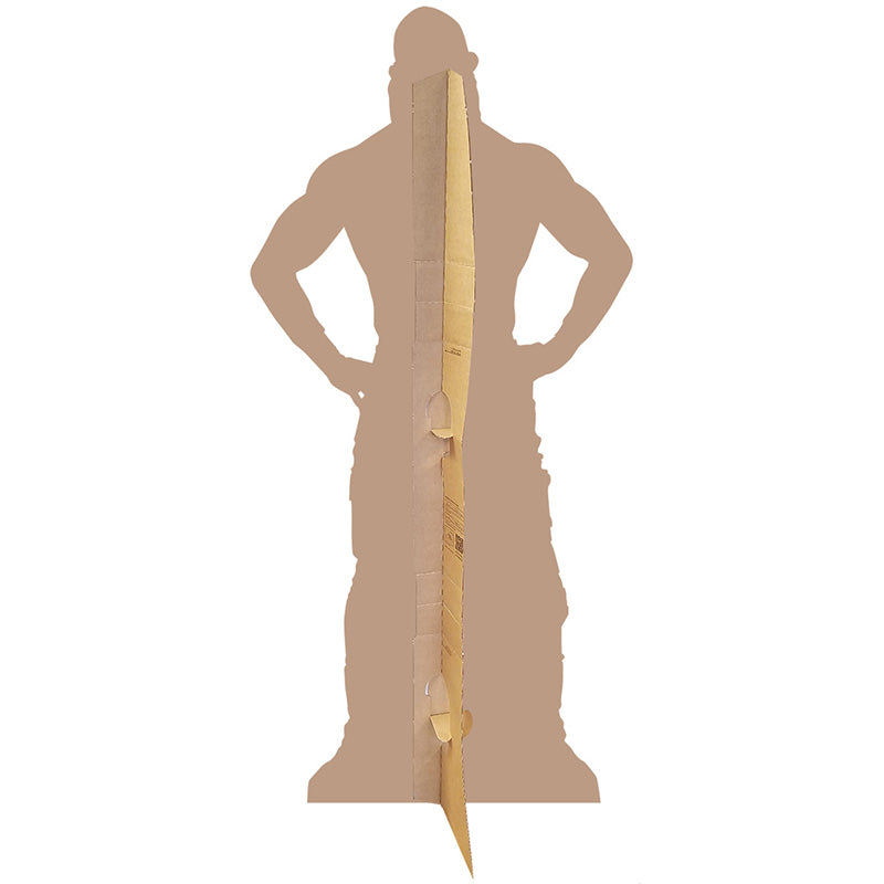 TOMMASO CIAMPA WWE Lifesize Cardboard Cutout Standup Standee - Back