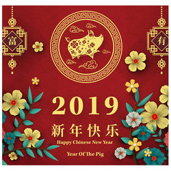 CHINESE NEW YEAR BACKDROP Cardboard Cutout Standup Standee - Front