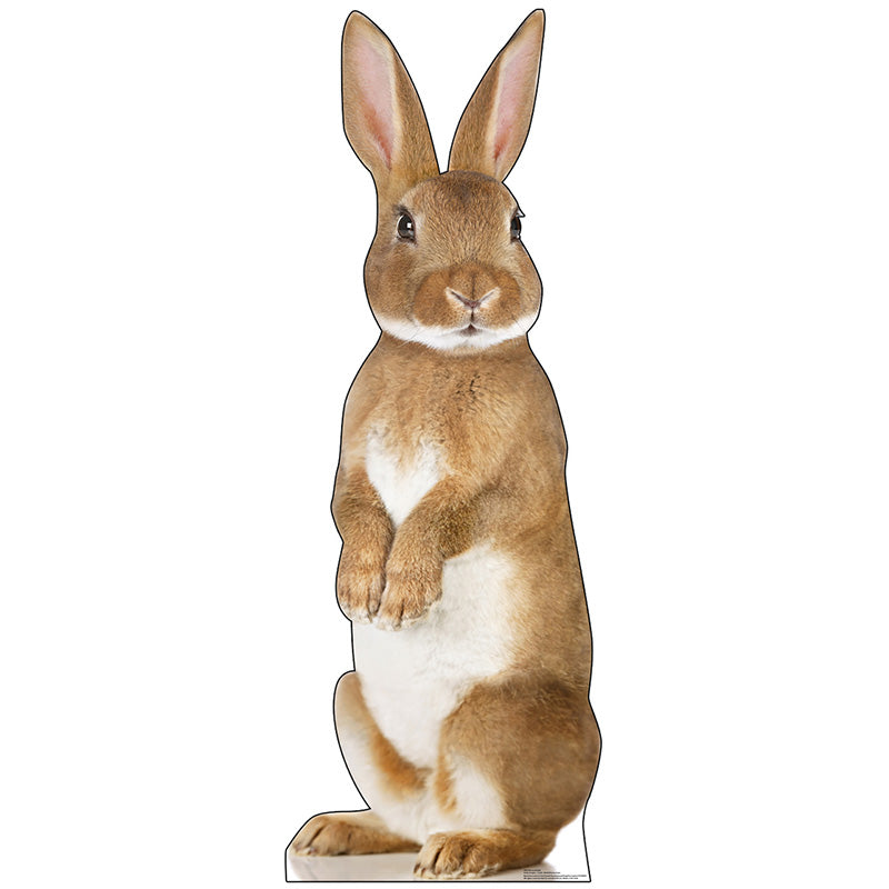 BUNNY RABBIT Cardboard Cutout Standup Standee - Front