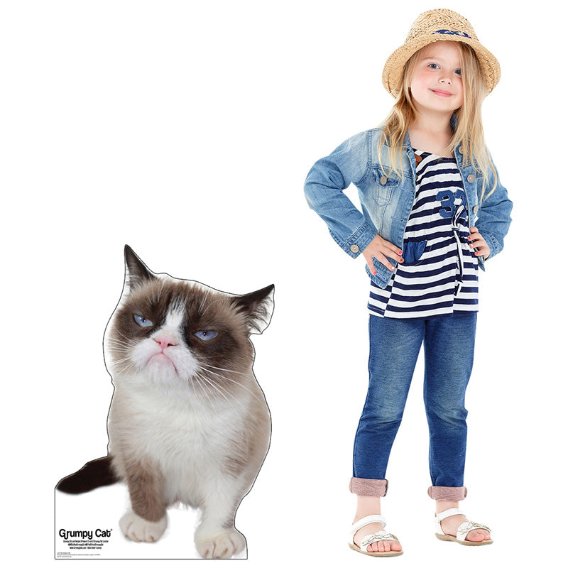GRUMPY CAT Cardboard Cutout Standup Standee - Example