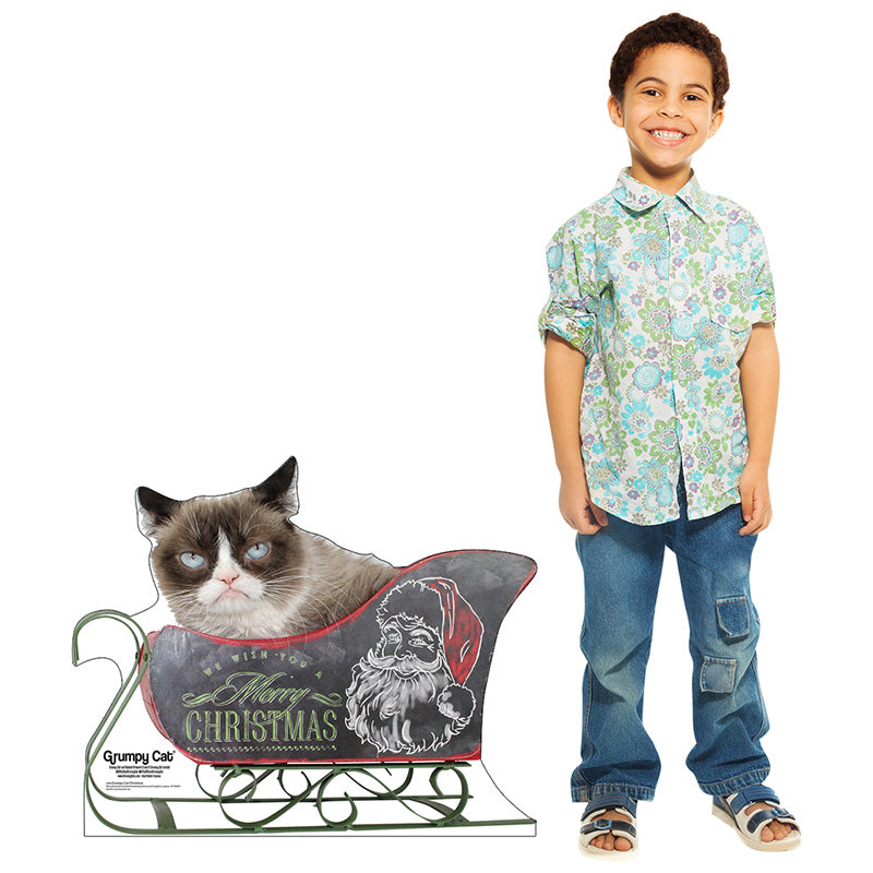 GRUMPY CAT CHRISTMAS Cardboard Cutout Standup Standee - Example