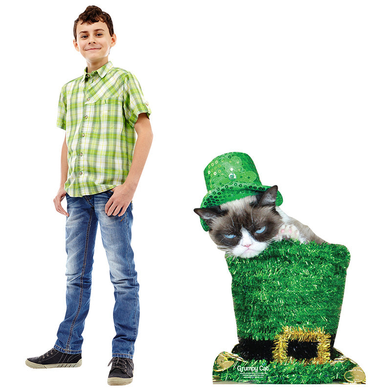 GRUMPY CAT ST. PATRICK'S DAY Cardboard Cutout Standup Standee - Example