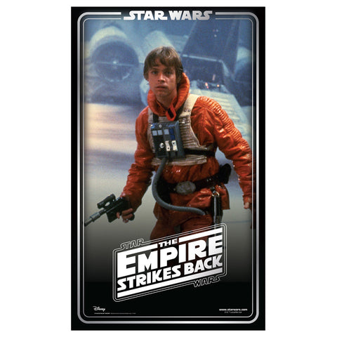 LUKE SKYWALKER BACKDROP