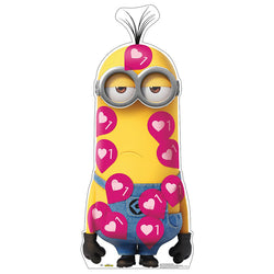 VALENTINE'S DAY KEVIN