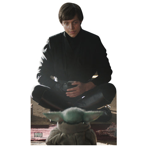 LUKE SKYWALKER AND GROGU