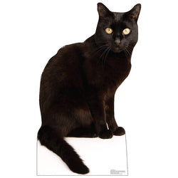 BLACK CAT Cardboard Cutout Standup / Standee