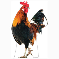 ROOSTER Cardboard Cutout Standup / Standee