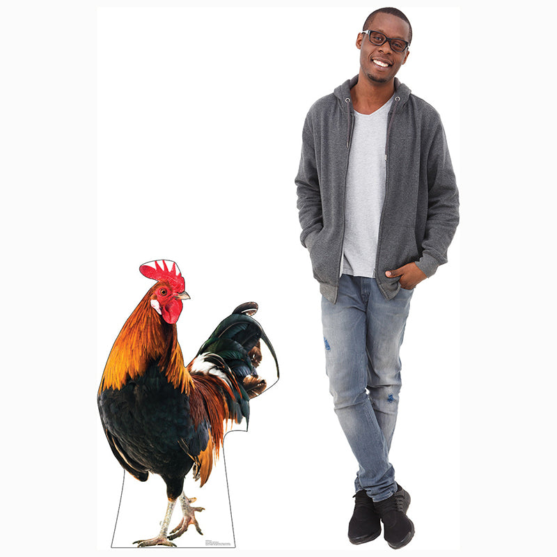 ROOSTER Cardboard Cutout Standup / Standee