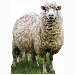 SHEEP Cardboard Cutout Standup / Standee