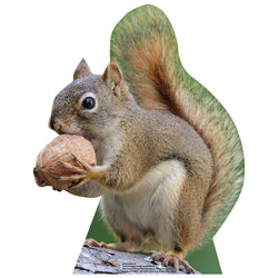 SQUIRREL Cardboard Cutout Standup / Standee