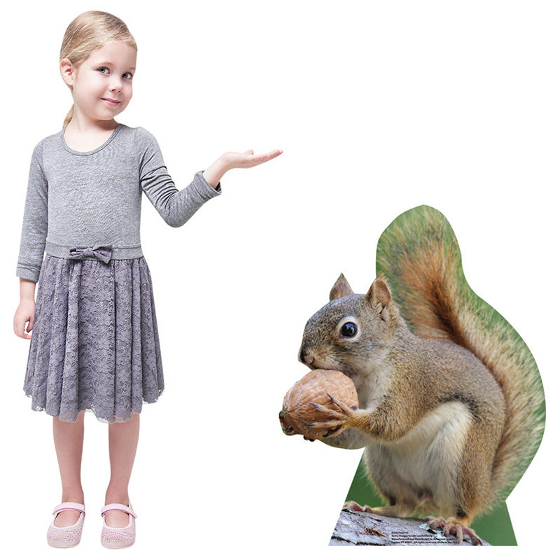 SQUIRREL Cardboard Cutout Standup / Standee