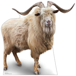 MOUNTAIN GOAT Cardboard Cutout Standup / Standee