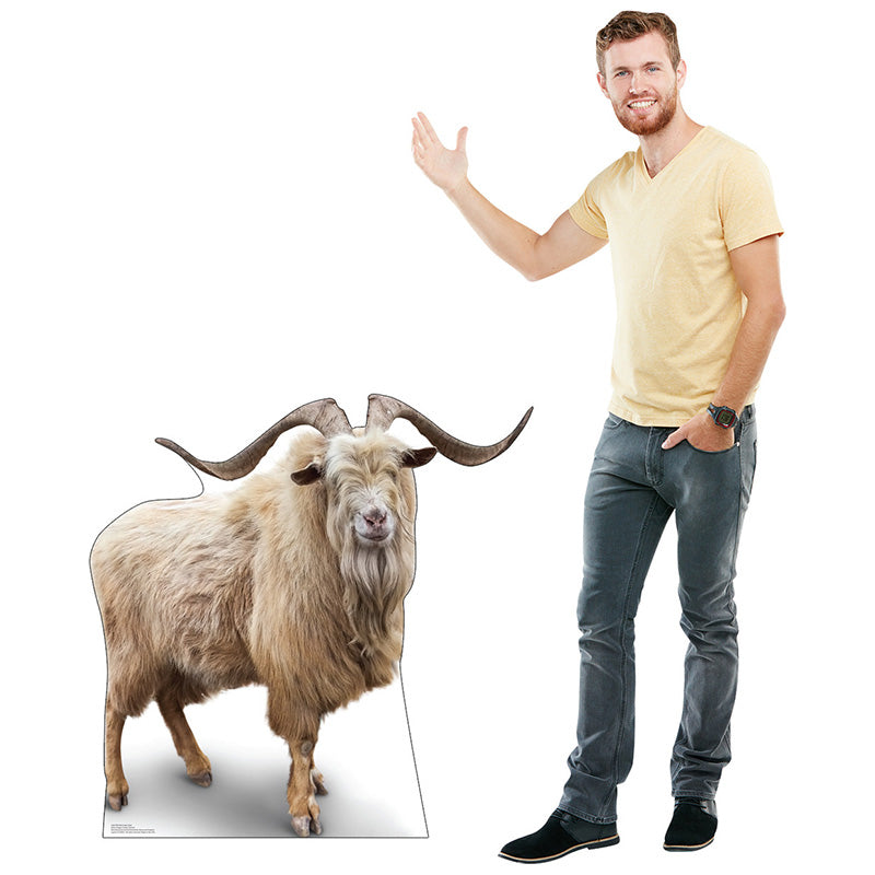 MOUNTAIN GOAT Cardboard Cutout Standup / Standee