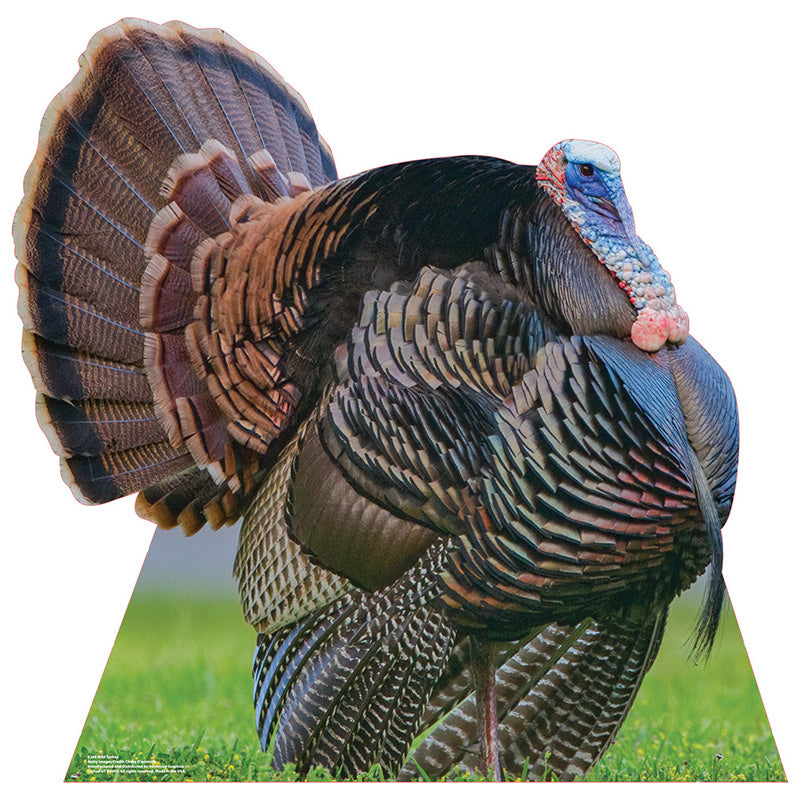 WILD TURKEY Cardboard Cutout Standup / Standee