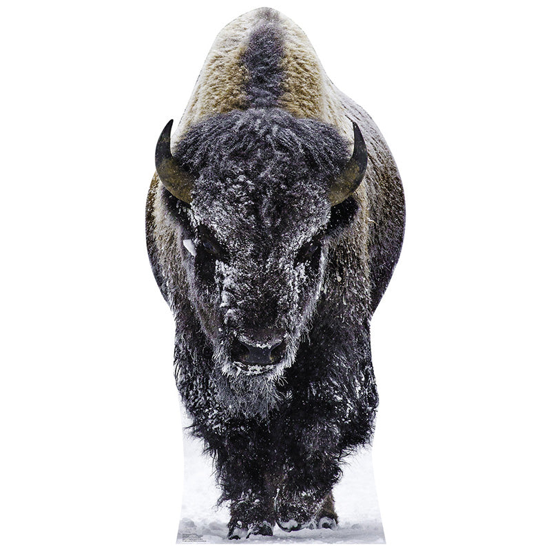 YELLOWSTONE BISON Cardboard Cutout Standup / Standee