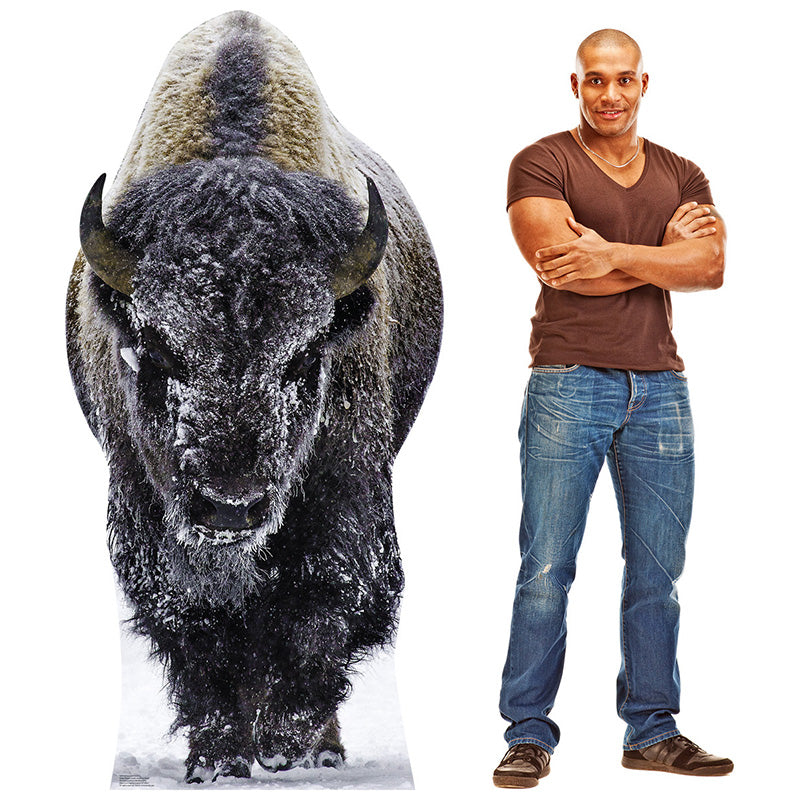 YELLOWSTONE BISON Cardboard Cutout Standup / Standee