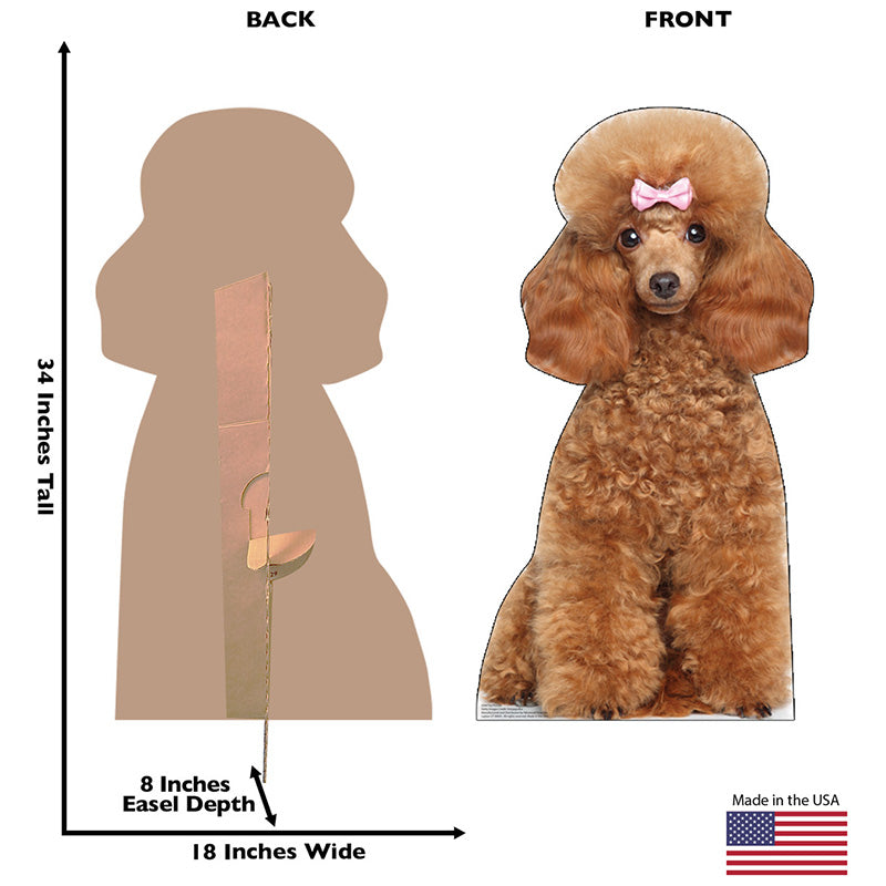 TOY POODLE Cardboard Cutout Standup / Standee