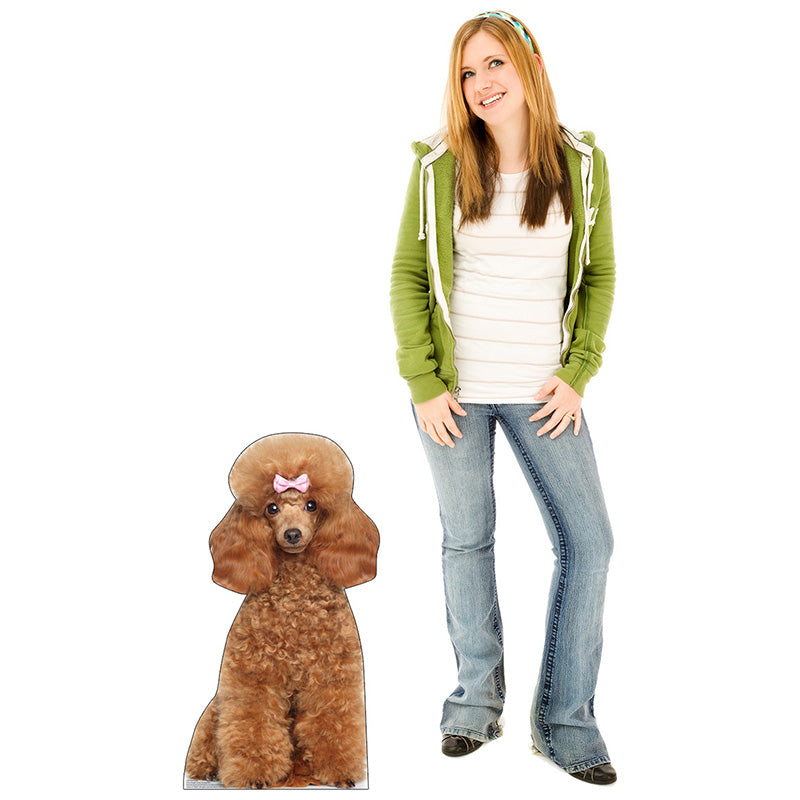 TOY POODLE Cardboard Cutout Standup / Standee