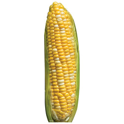 EAR OF CORN Cardboard Cutout Standup / Standee