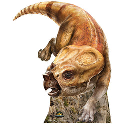 AQUILOPS 