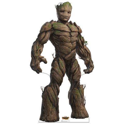 GROOT 