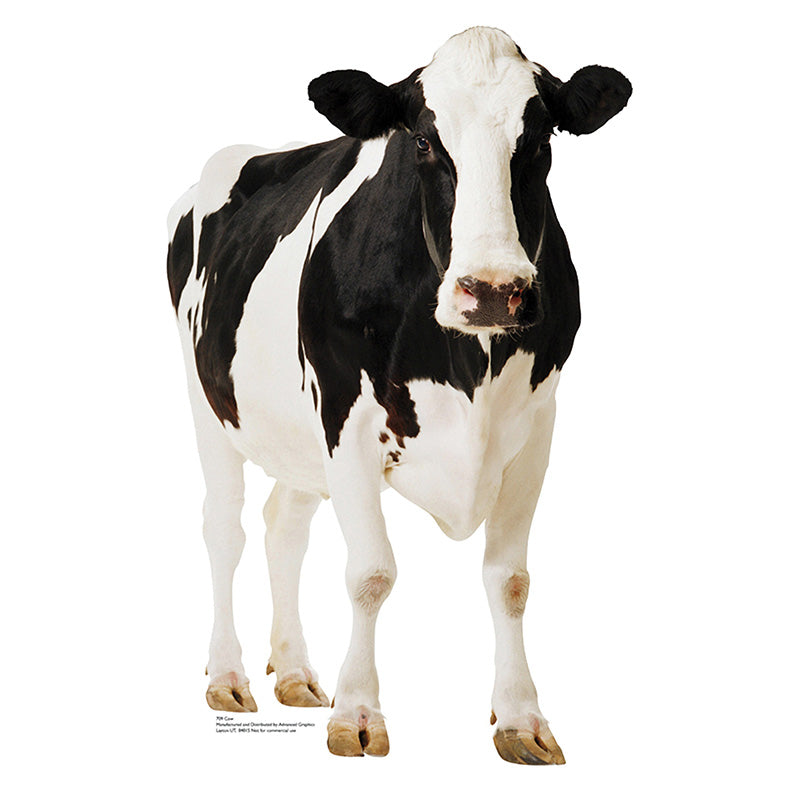 COW Lifesize Cardboard Cutout Standup Standee - Front