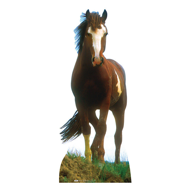 MUSTANG HORSE Lifesize Cardboard Cutout Standup Standee - Front