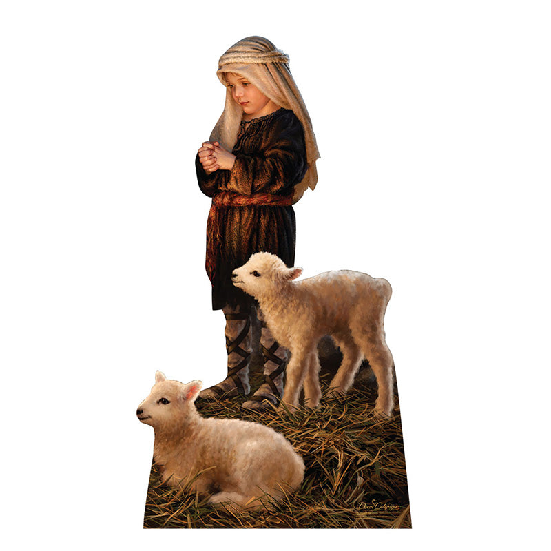 SHEPHERD BOY by Dona Gelsinger Cardboard Cutout Standup Standee - Front