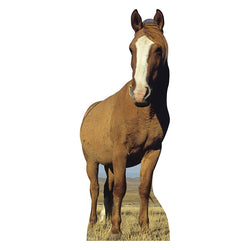 RED DUN HORSE Lifesize Cardboard Cutout Standup Standee - Front