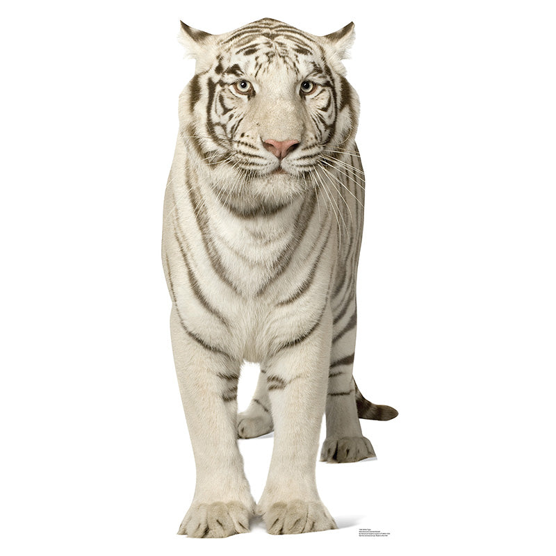 WHITE TIGER Lifesize Cardboard Cutout Standup Standee - Front