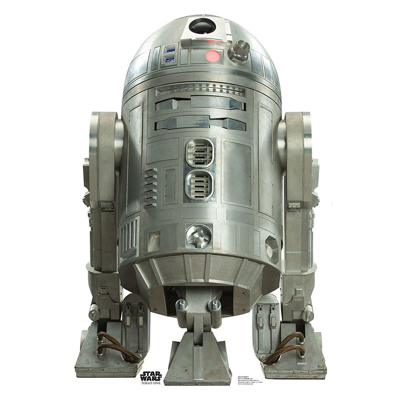 R2-BHD 