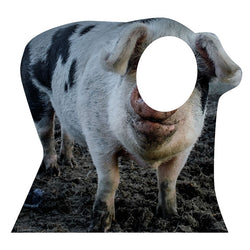 PIG STAND-IN Lifesize Cardboard Cutout Standup Standee - Front