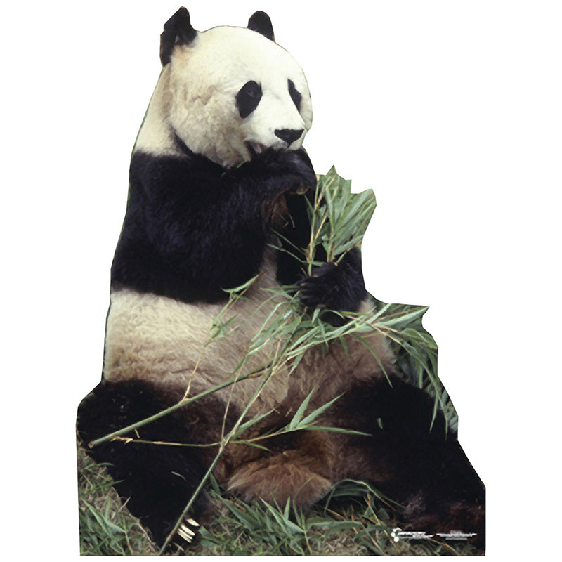 PANDA BEAR Lifesize Cardboard Cutout Standup Standee - Front